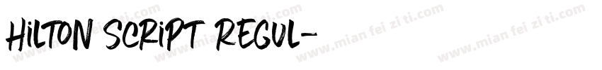 Hilton Script Regul字体转换